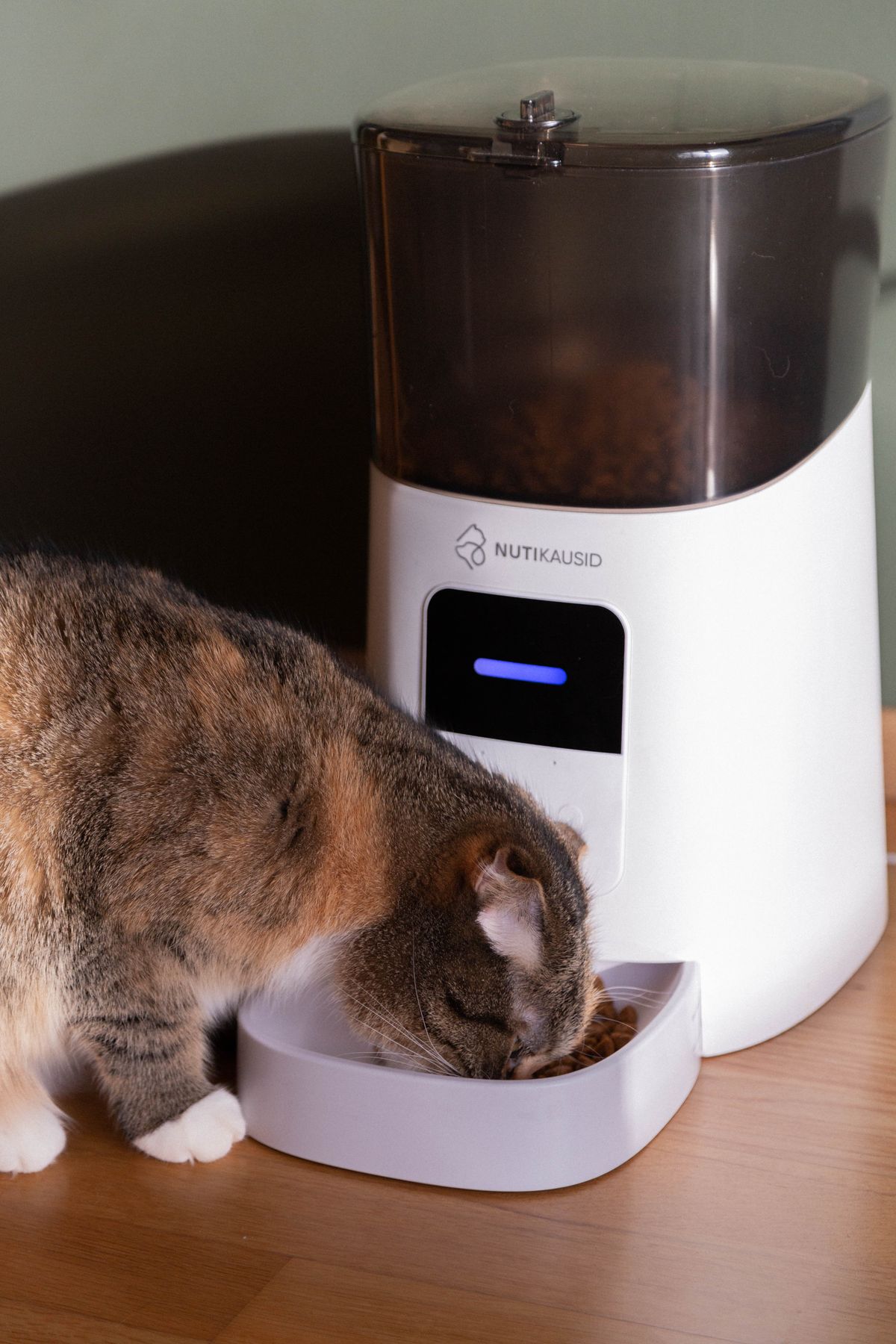 A cat eating from an automatic pet feeder